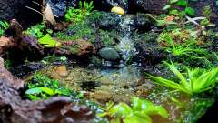 Hauptbild aus Hardangervidda