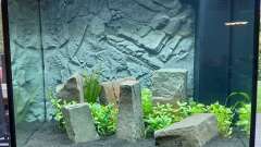 Hauptbild aus Lido 200 - ein Wiedereinstieg