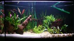 Delta 100 Frontalansicht 21.08.2008