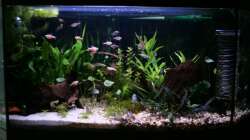 Delta 100 Frontalansicht 04.10.2008