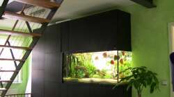 Blick vom Eingangsbereich