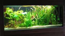 Blick vom Wohnzimmer