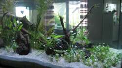 Planzen 1.Tag 26.06.2008