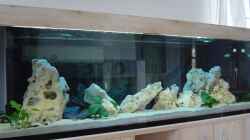 Aquarium Becken 1037