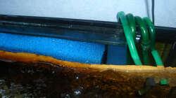 Aquarium Mbuna-Bay (VERKAUFT)