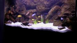 Aquarium Mbuna-Bay (VERKAUFT)