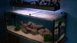 Aquarium Becken 1051