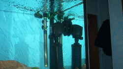 Technik im Aquarium Becken 1051