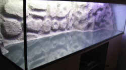 Dekoration im Aquarium Becken 10638