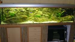 Aquarium Räuber aus dem Werder.... ähmm Malawisee