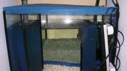 Technik im Aquarium Räuber aus dem Werder.... ähmm Malawisee