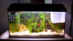 60 Liter Gesellchaftsbecken mit Ablaichnetz