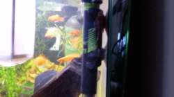 Tetra Tec HT75 Regelheizer