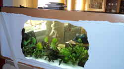 Aquarium Becken 10818
