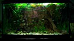 [08.02.10]Frontansicht