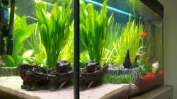 Eckansicht ohne Amazonas