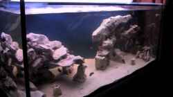 Aquarium Becken 115