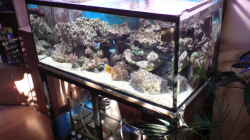 Aquarium Becken 11616