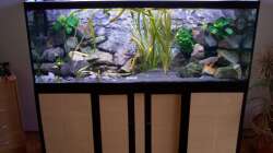 Hier sieht man gut mein selbst gebauten Unterschrank (so schlecht sieht es doch nicht