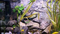 linker granit aufbau