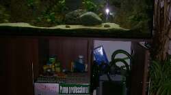 Technik im Aquarium Malawi-Nature