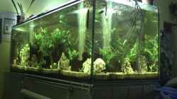 Aquarium Becken 11822