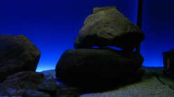 Neuer Steinaufbau rechte Beckenseite Nov. 2012