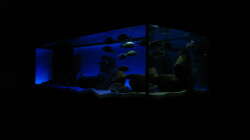 Diagonalansicht ML + HB + Rechte Seite LED-weiß