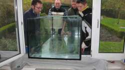 Freunde muss man haben II