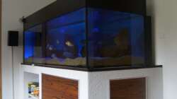 Beleuchtungsphase nur Hintergrundbeleuchtung und LED blau an