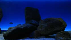 Neuer Steinaufbau Mitte Becken Nov. 2012