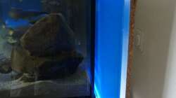 Hintergrundbeleuchtung - ohne Blende