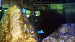 Technik im Becken (Heizung, Strömungspumpe & Schnellfilter)