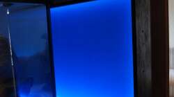 Hintergrundbeleuchtung - Kasten hinterm Becken eingeschoben