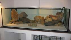 Steinaufbau Frontalansicht bei Ersteinrichtung 2009