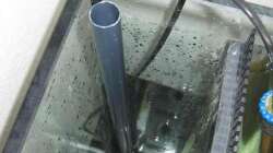 Notablauf im Schacht