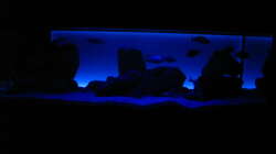 Frontalansicht ML + Hintergrundbeleuchtung