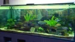 Aquarium Becken 12205