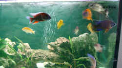 Fische können unter dem Stein durchschwimmen, Bläschen vom Sprudelstein sieht man.