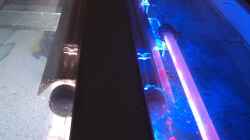 Transparente Plexiglas-Abdeckung, GHL-Leuchtbalken, 2 SIMU-L Stäbe