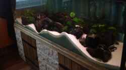 Aquarium Becken 12363