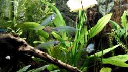 Aquarium Zwohundertsechzehn