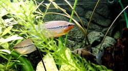 Aquarium Zwohundertsechzehn