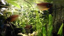 Aquarium Zwohundertsechzehn