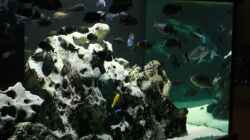 Aquarium Becken 125