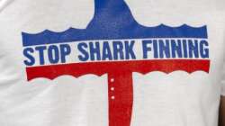 Helfe mit!!! Es ist Dein Planet!