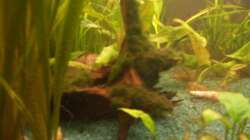 Sicht durch linke Seitenscheibe unten