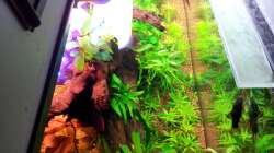 Nach dem Umgestalten am 05.03.12