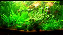 Becken am 22.01.10