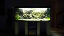Aquarium Malawi Wohnzimmer (aufgelöst)